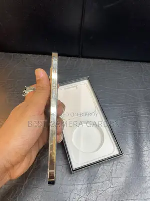 Apple iPhone 12 Pro Max (Used)
