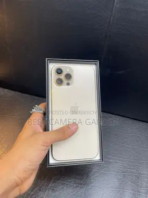Apple iPhone 12 Pro Max (Used)