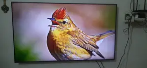 Samsung TV