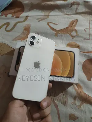 Apple iPhone 12 (Used)