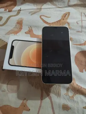 Apple iPhone 12 (Used)