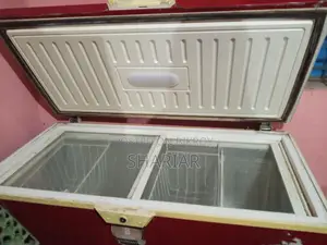 Vigo Deep Freezer