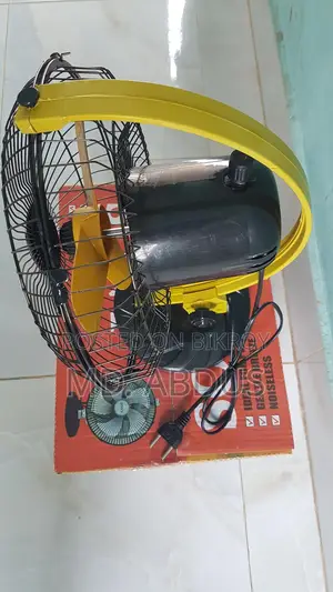 Fan Sale