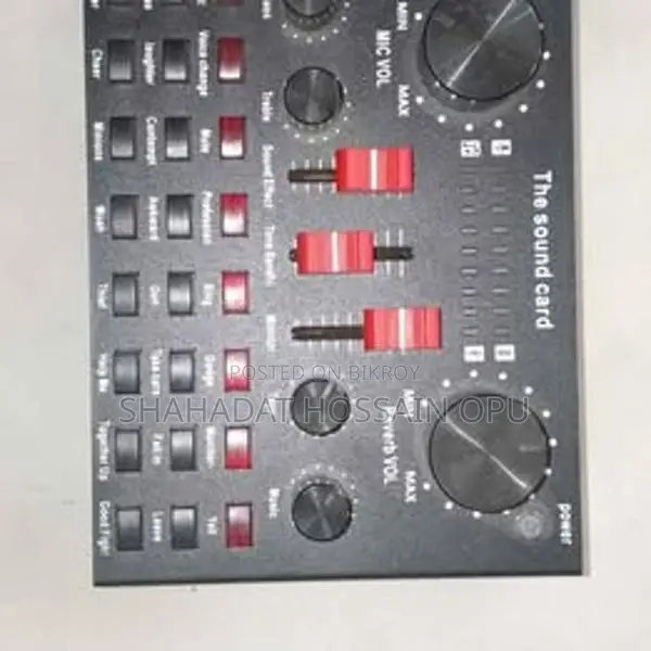 Mic with Live Sound Card