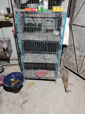 Cage for sale