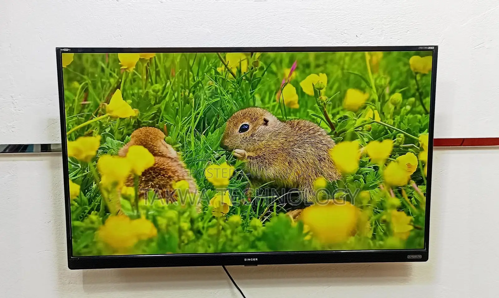 SINGER-43 INCH SMART ANDROID TV