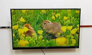 SINGER-43 INCH SMART ANDROID TV