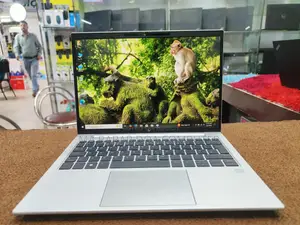 HP EliteBook Ryzen 5 Pro 6650 series 16/512 Premium Business Laptop