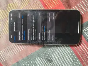Apple iPhone 15 Pro Max Natural Titanium (Used)