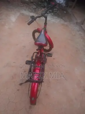 Get a Free Tube with the Bicycle