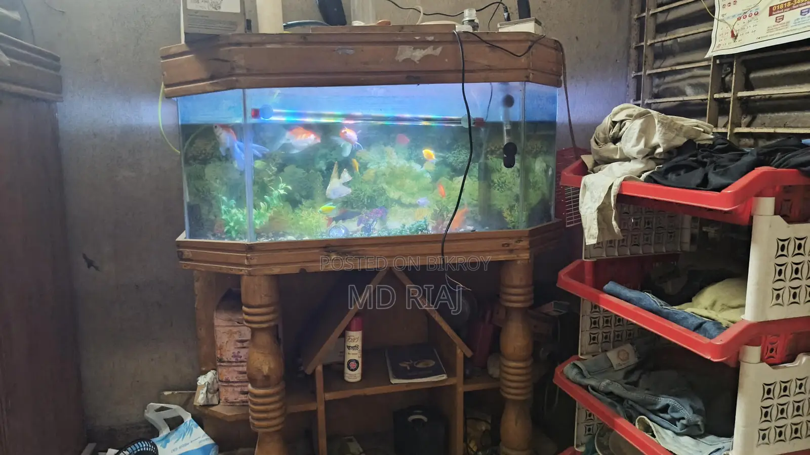 Complete Aquarium Set for Sale!