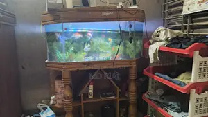 Complete Aquarium Set for Sale!