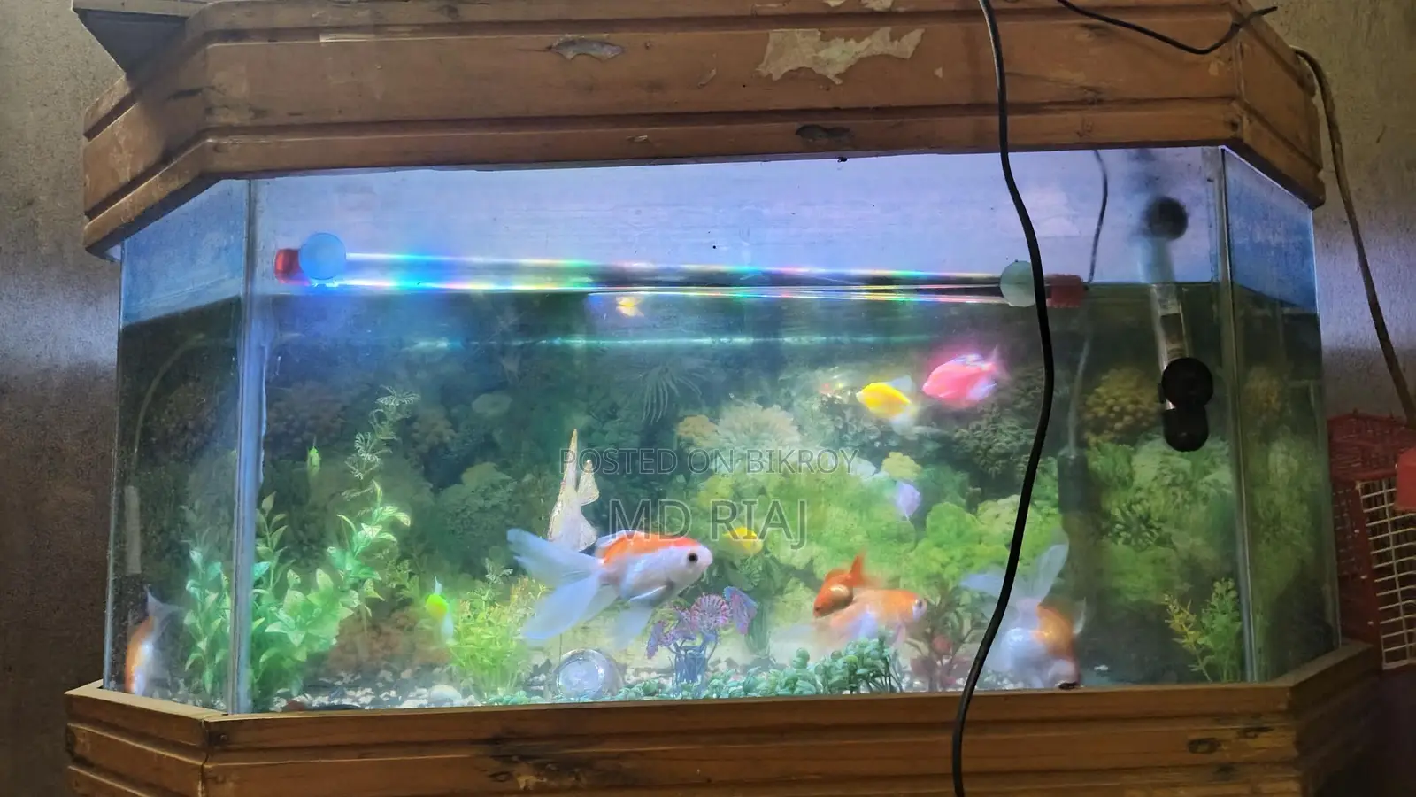 Complete Aquarium Set for Sale!