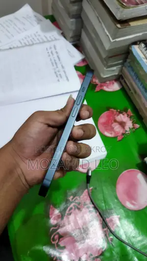 Apple iPhone 13 4/128 (Used)