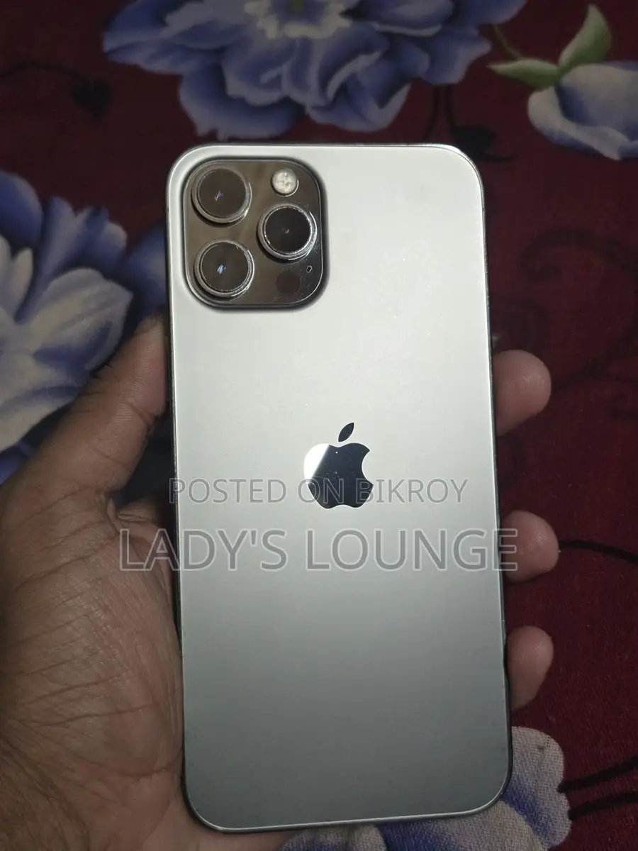 Apple iPhone 12 Pro Max (Used)