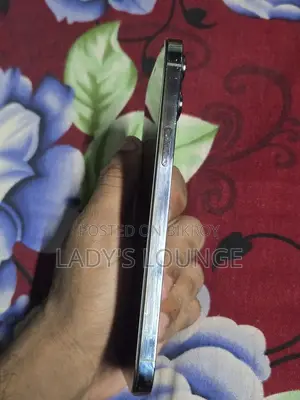 Apple iPhone 12 Pro Max (Used)
