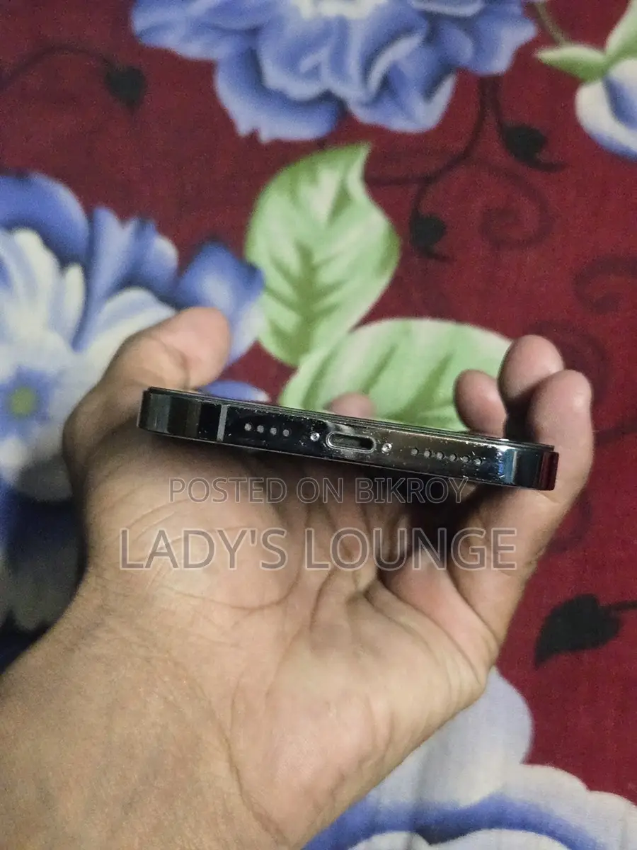 Apple iPhone 12 Pro Max (Used)
