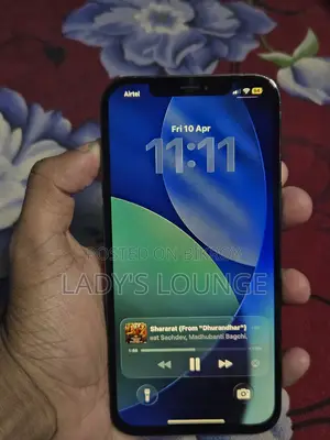Apple iPhone 12 Pro Max (Used)