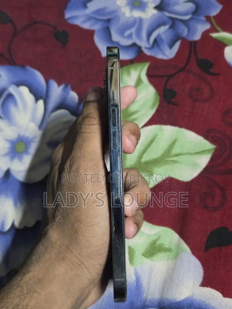 Apple iPhone 12 Pro Max (Used)