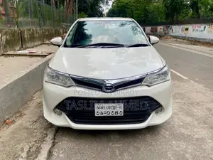 Toyota Axio G 2015