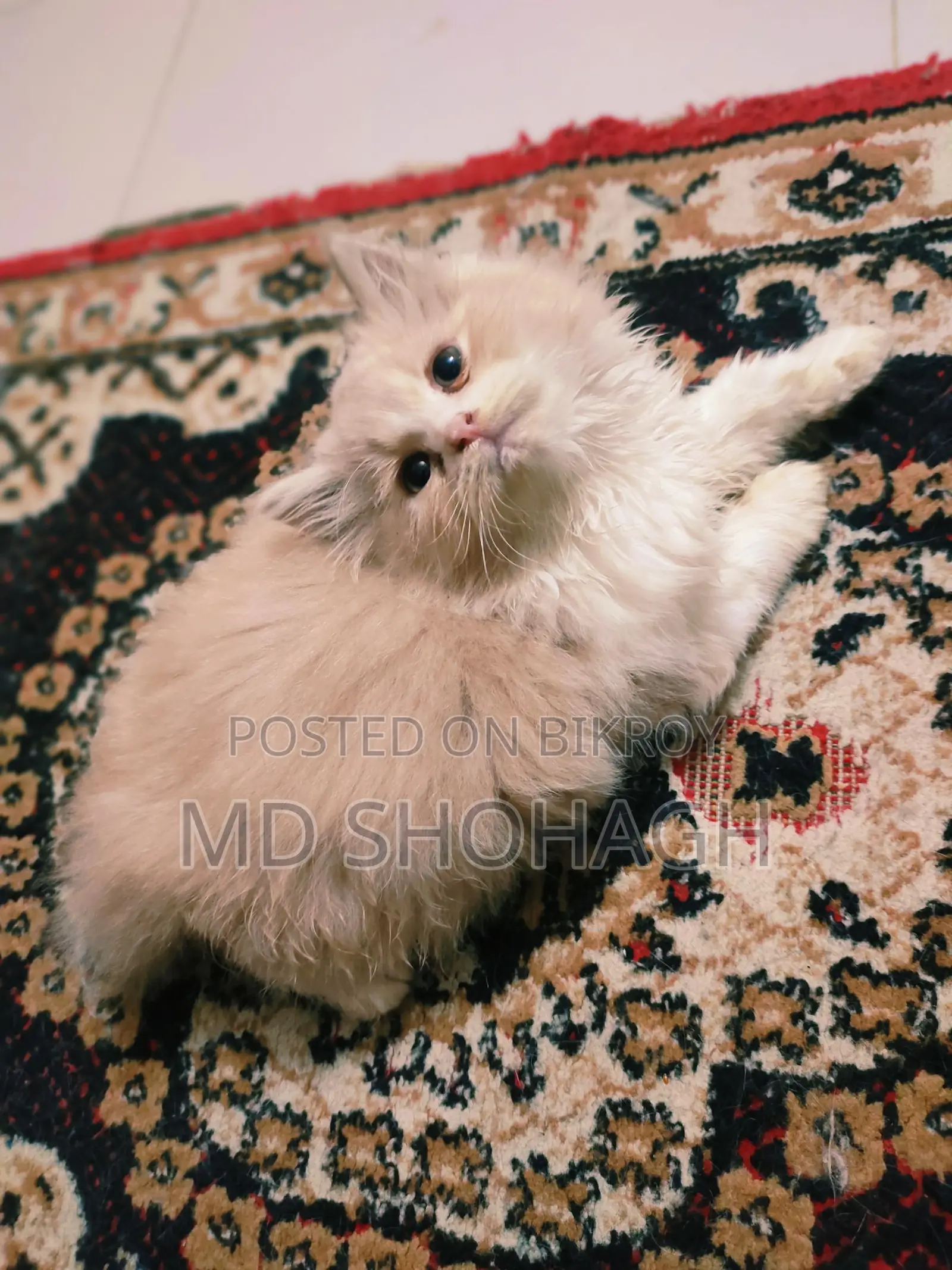 Traditional Persian
