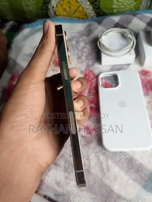 Apple iPhone 12 Pro Max (Used)