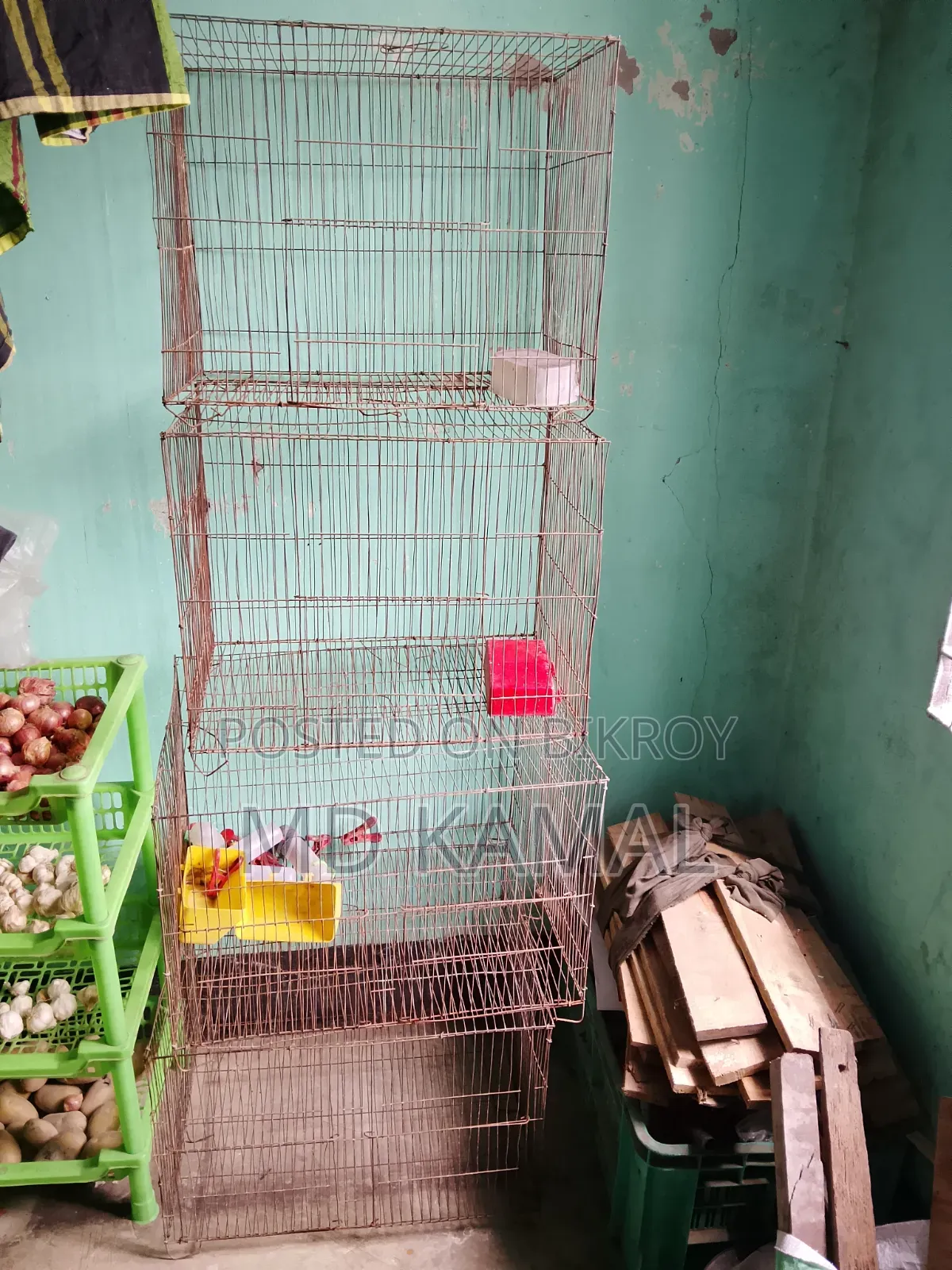 পাখির খাচা