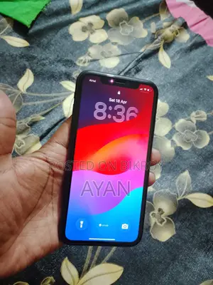 Apple iPhone 11 (Used)