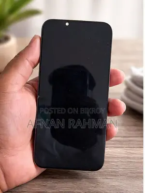 Apple iPhone 13 Display (Used)