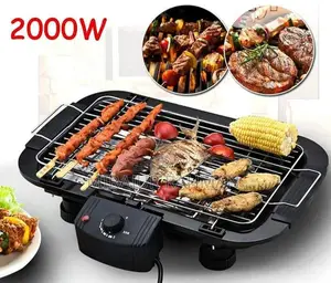Electric BBQ Machine