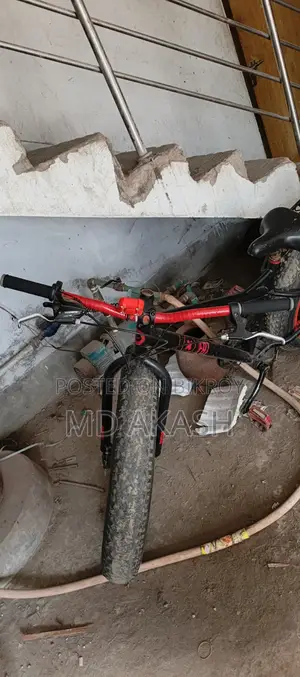 Fat Bike for Sale