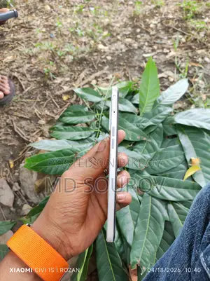 OPPO F21 Pro 8/128 Amoled Display (Used)