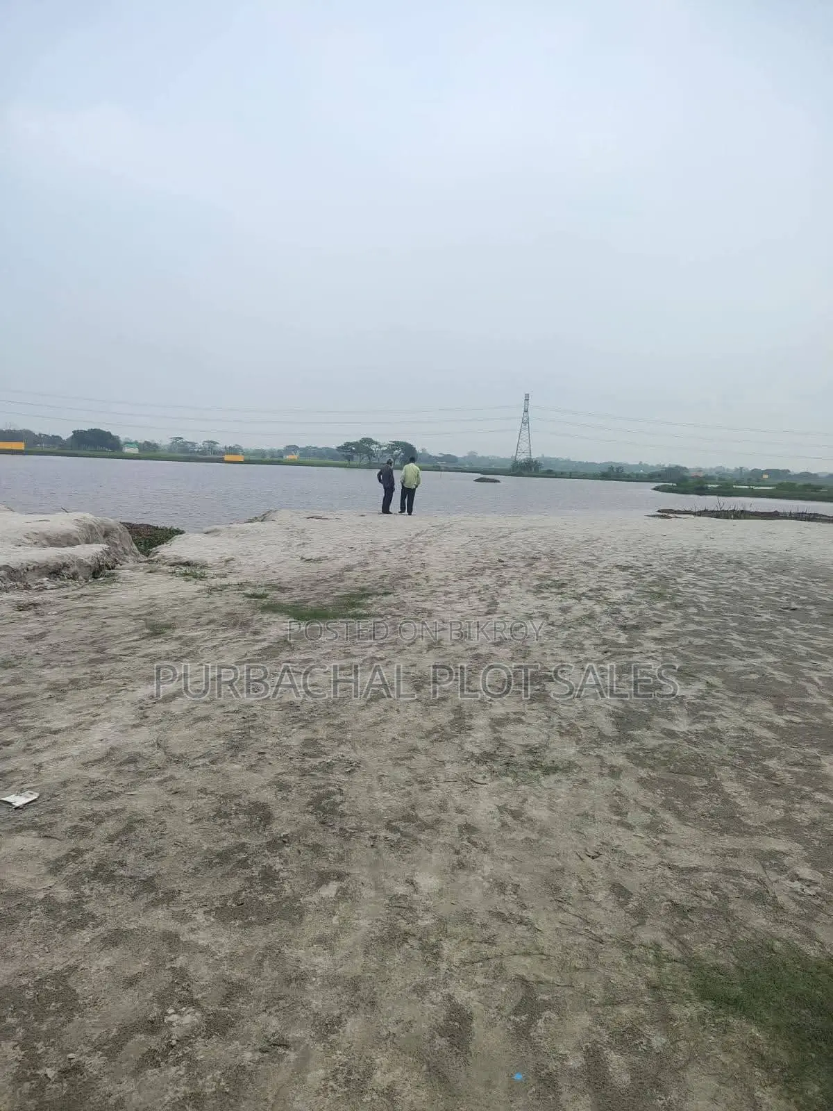 টিউলিপ ভ্যালিতে জমি কিনুন