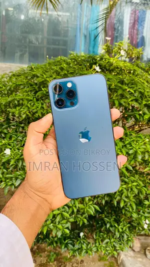 Apple iPhone 12 Pro Max (Used)