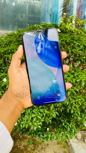 Apple iPhone 12 Pro Max (Used)