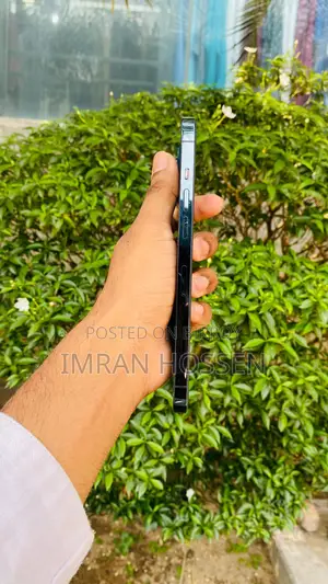 Apple iPhone 12 Pro Max (Used)