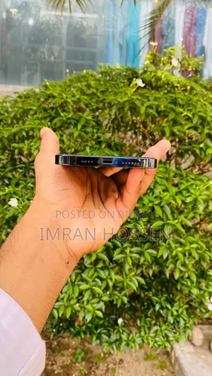 Apple iPhone 12 Pro Max (Used)