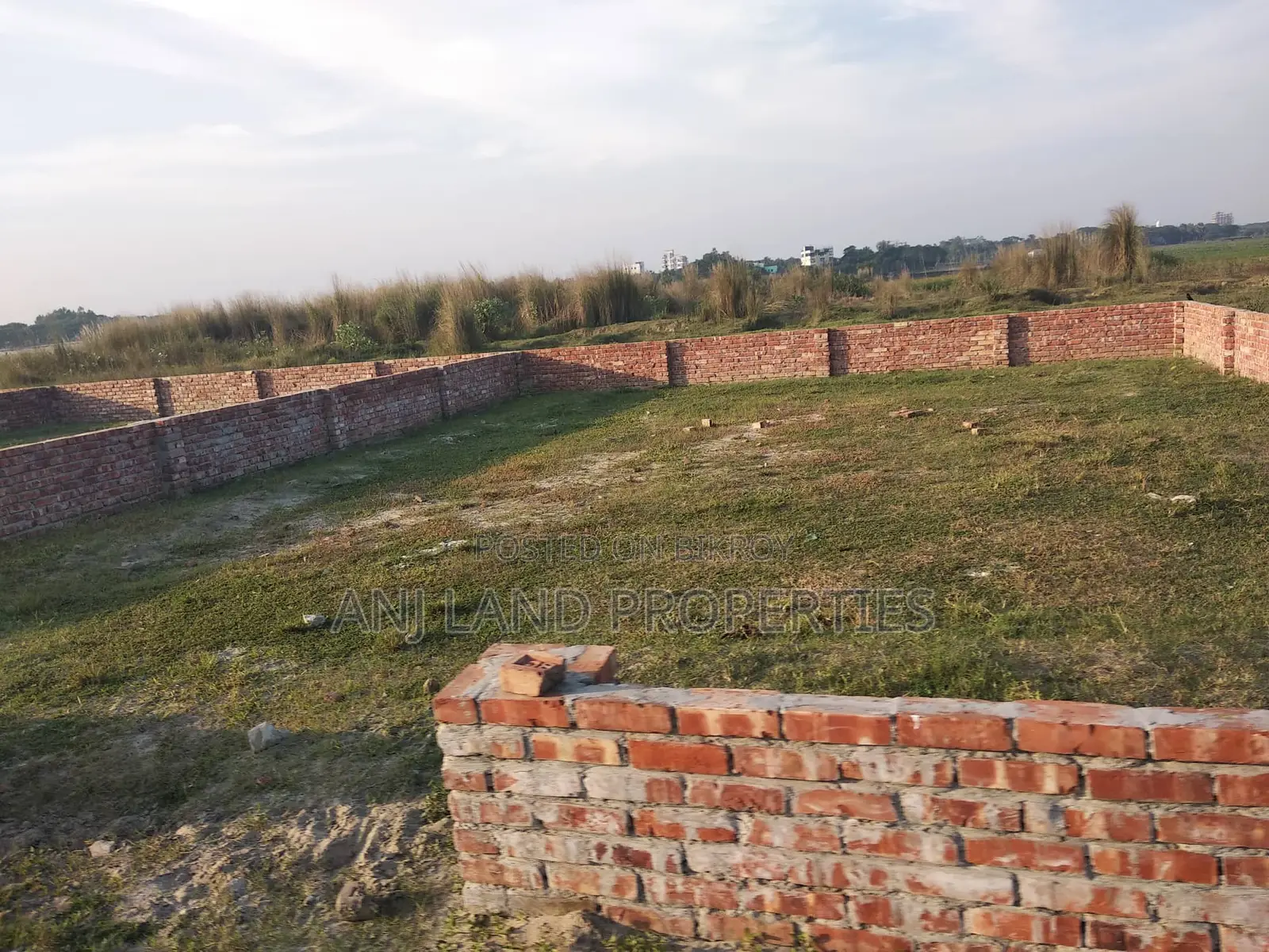 এম-ব্লক ৫-কাঠা দক্ষিন মুখি প্লট বিক্রয়