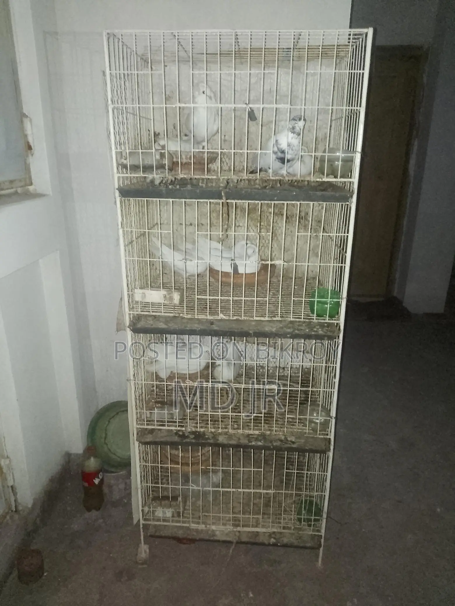 খাচা বিক্রি করা হবে