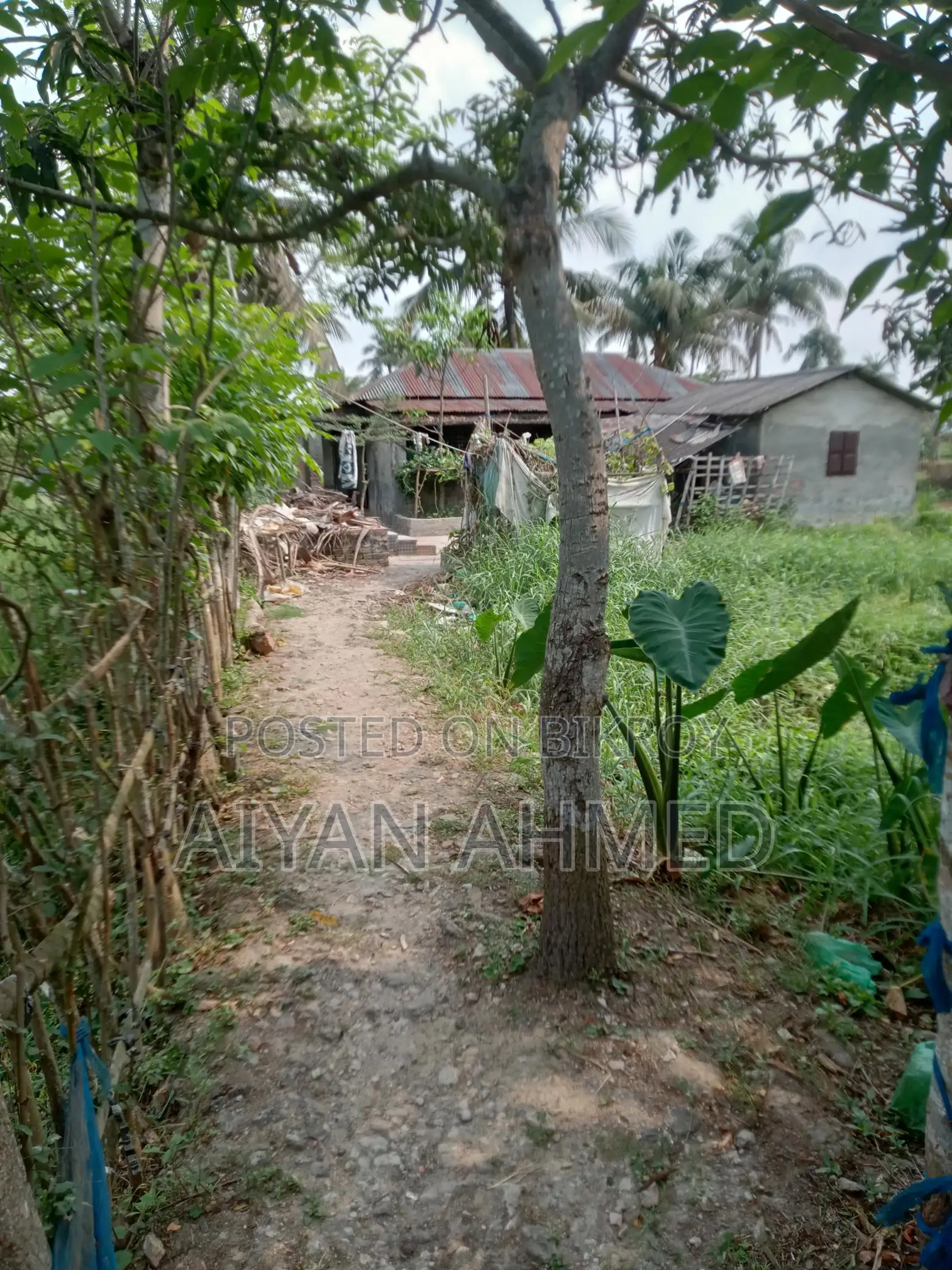 বসত বাড়ি সহ জমি বিক্র হবে পরিমাণ পোনে ৫ কাঠা, জমির রাস্তা ৬ ফুট