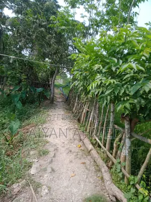বসত বাড়ি সহ জমি বিক্র হবে পরিমাণ পোনে ৫ কাঠা, জমির রাস্তা ৬ ফুট