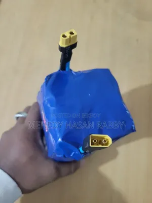 শক্তিশালী লিথিয়াম ফসফেট ব্যাটারি