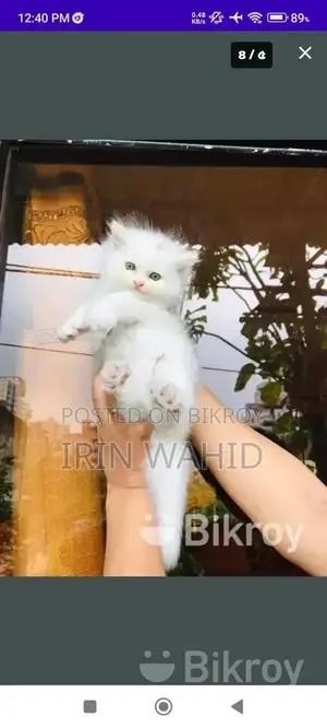 Traditional Persian