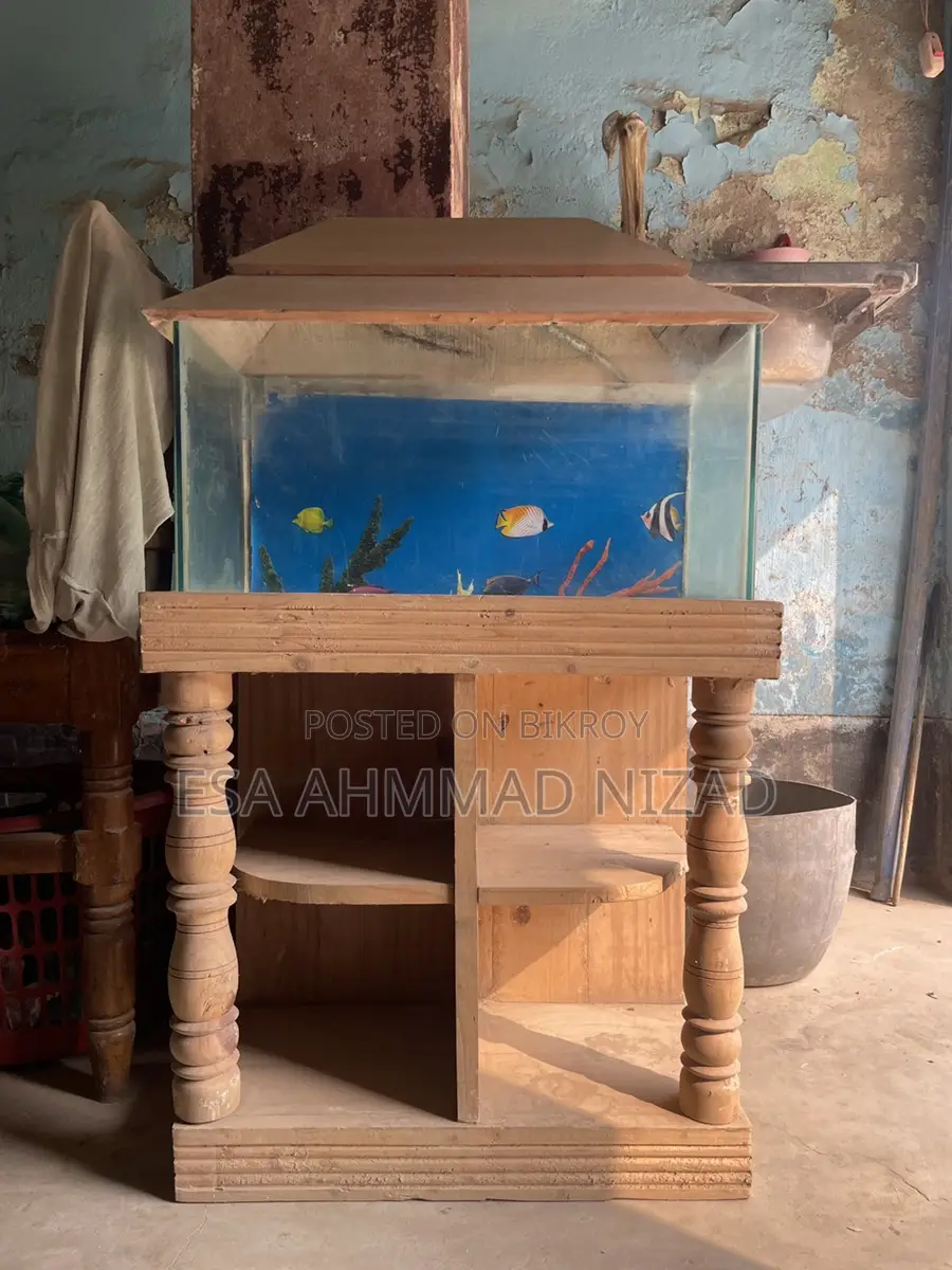 একটি ৯/১৮ অ্যাকোরিয়াম।
