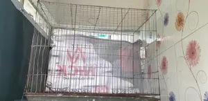 ১২/১৮ সাইজ খাঁচা