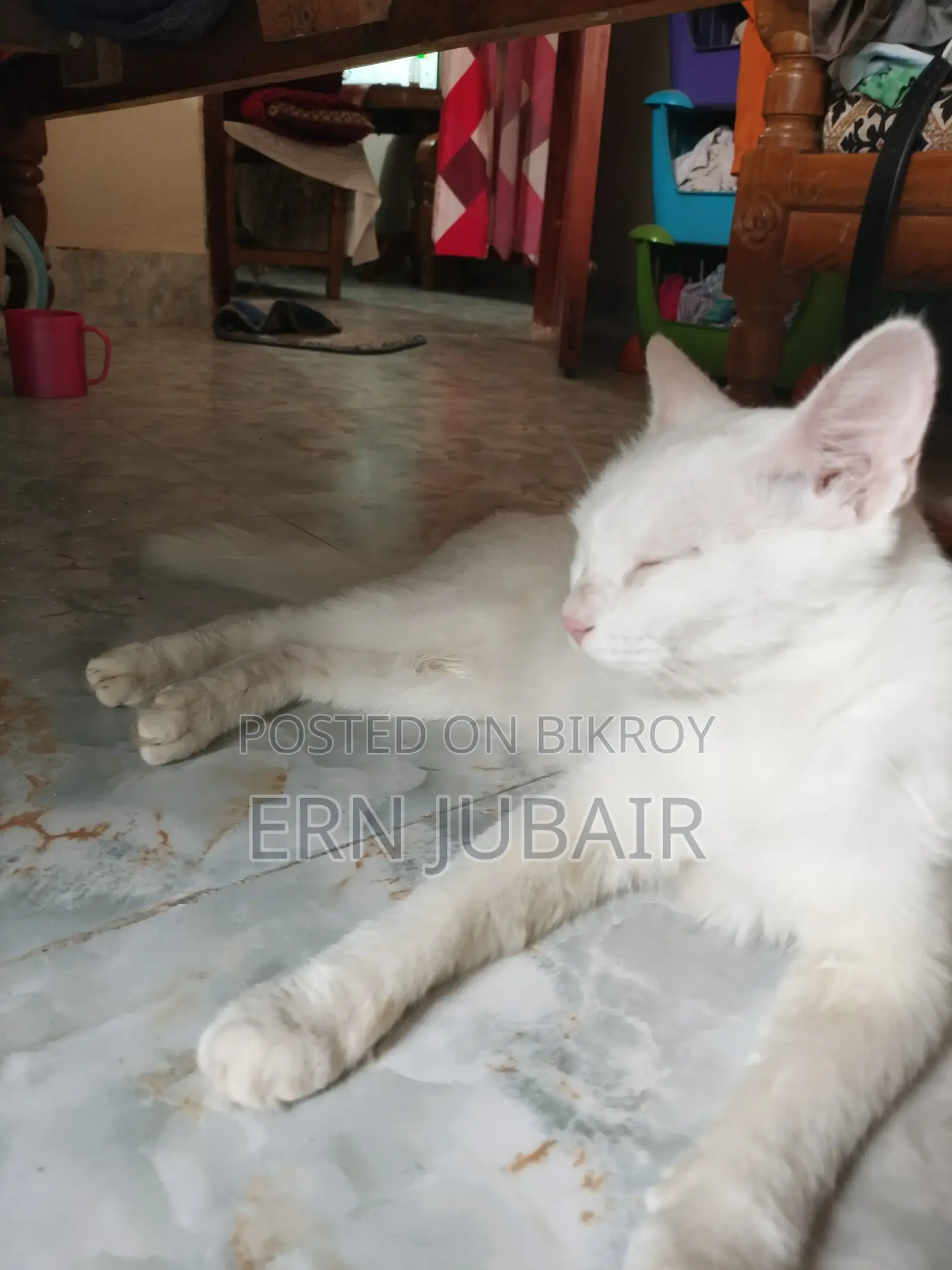Mixed Persian Seel Post