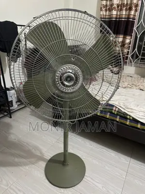 Pakistani Fan