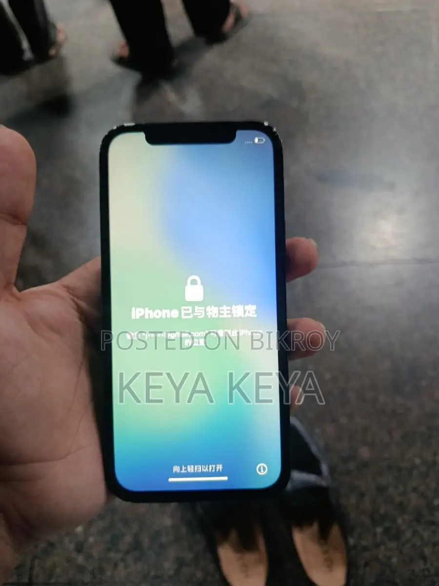 Apple iPhone 12 Pro (Used)