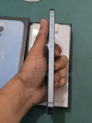 Apple iPhone 13 Pro Max (Used)