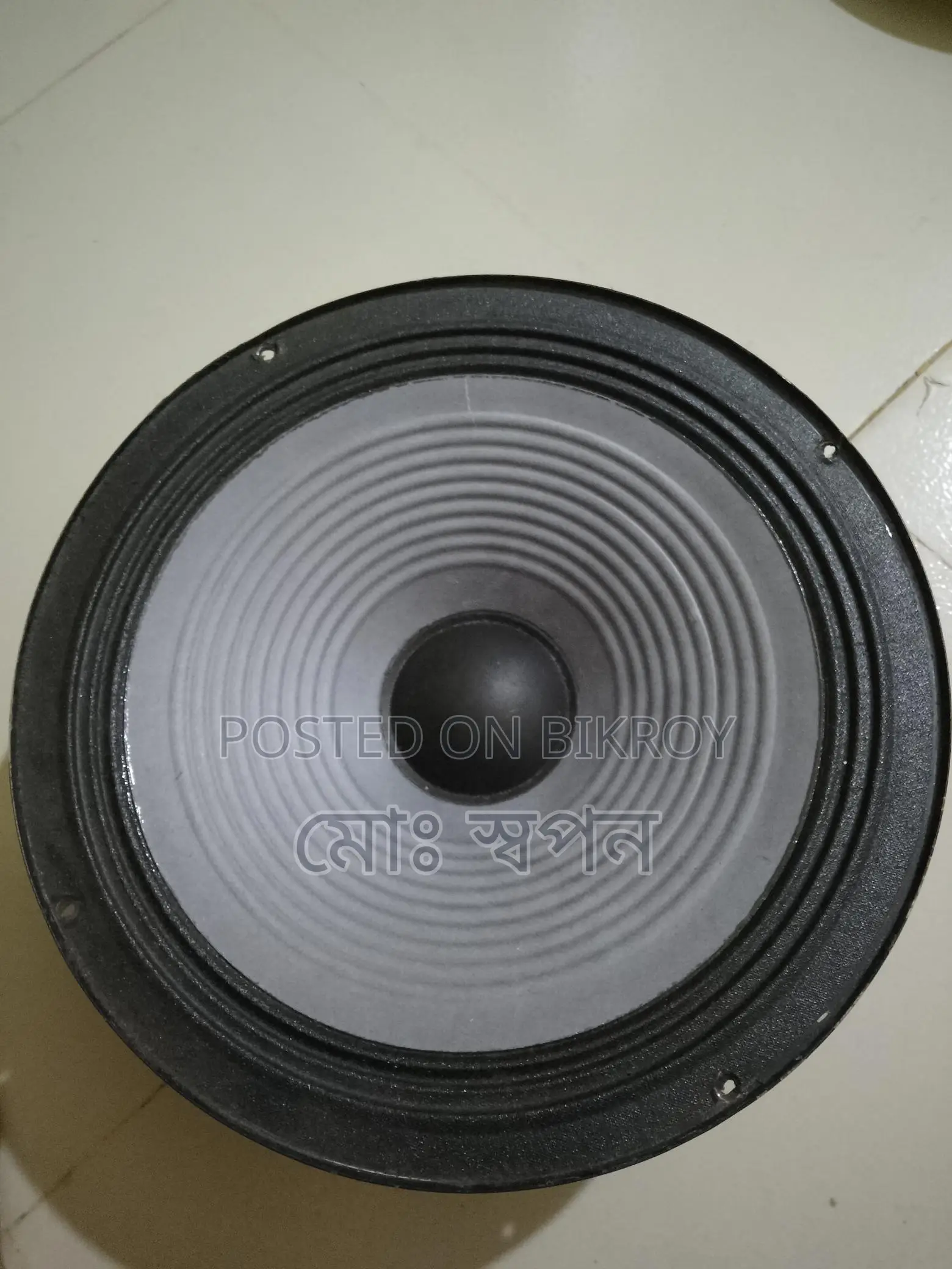 10" Speaker